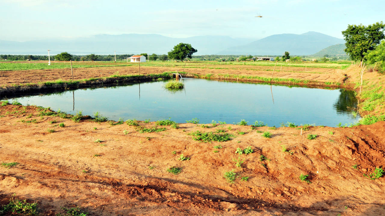 Karnataka government offers subsidy to fence ponds | Bengaluru News - Times  of India