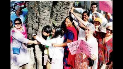 Citizens, greens to paint love messages on Jayamahal Road trees today