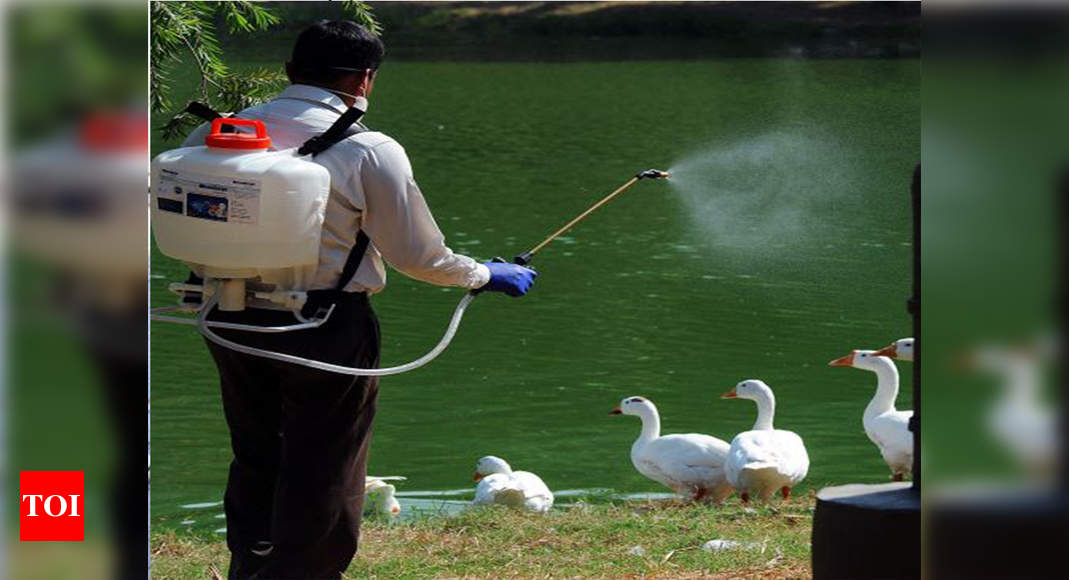Avian flu outbreak: Kerala govt to disburse 12 crore ...
