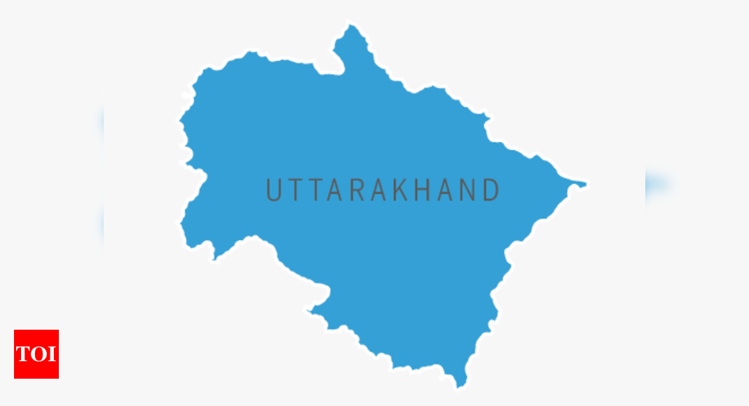 Infographic Uttarakhand Assembly Elections Things To Know About The Candidates Uttarakhand 9355