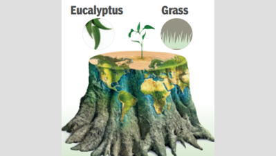 Even trees turn infertile as pollen loses sting to pollution in air ...