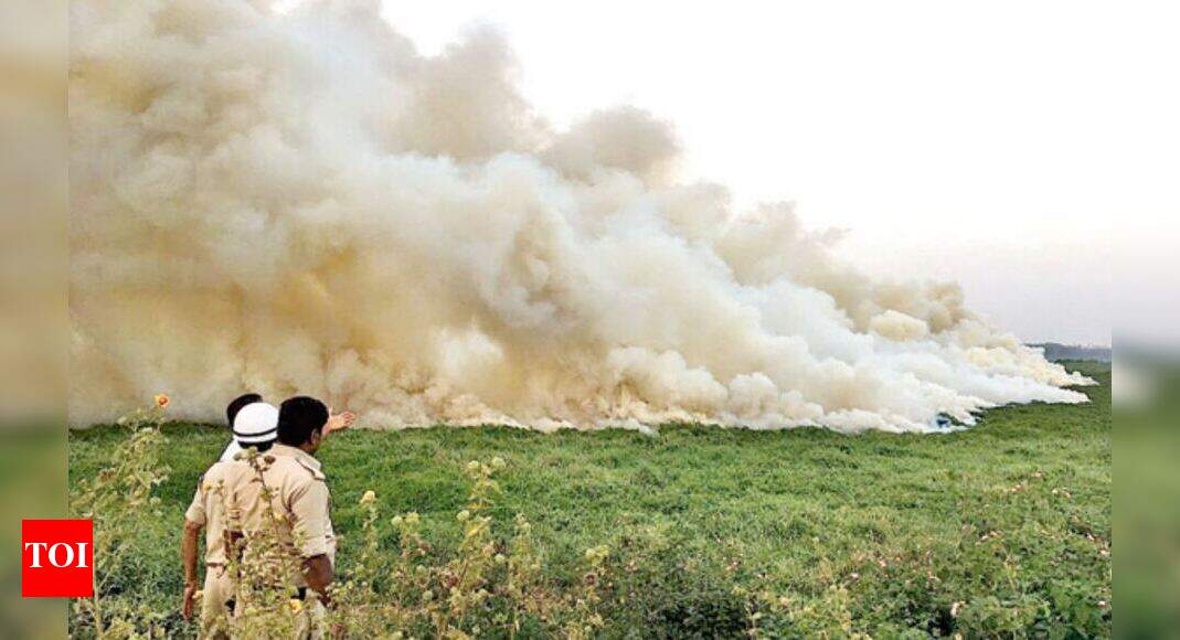 Bellandur Lake Fire Ground grass catches fire near Bellandur Lake