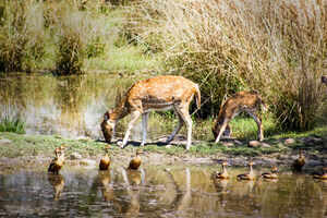 Things to do in Bhopal for the activity driven travellers