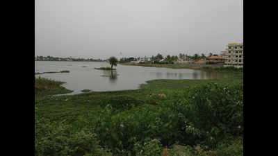 Realtors eyeing Vijayanagar’s dying lake, say residents