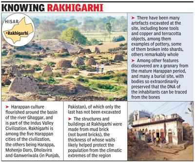 Harappa’s Haryana connect: Time for a museum to link civilisations