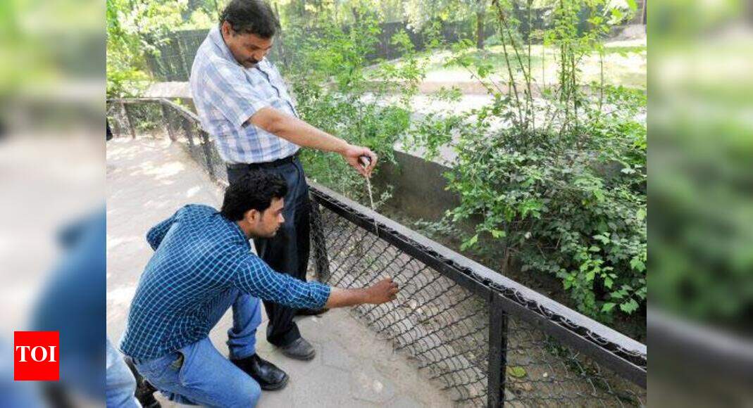 Describe your visit to a zoo picture