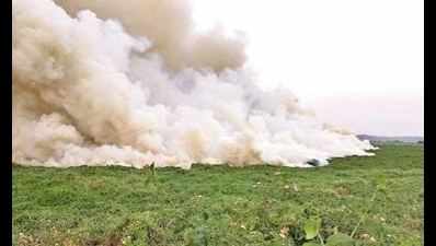 Froth & fumes: Bellandur Lake is no longer Bengaluru's pride