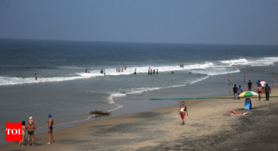 Russian tourists to clean up Varkala Beach | Thiruvananthapuram News ...