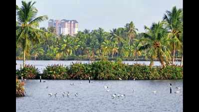 Master plan to demarcate green zones in Kochi, suburbs