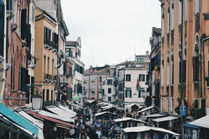Visit the Rialto Market