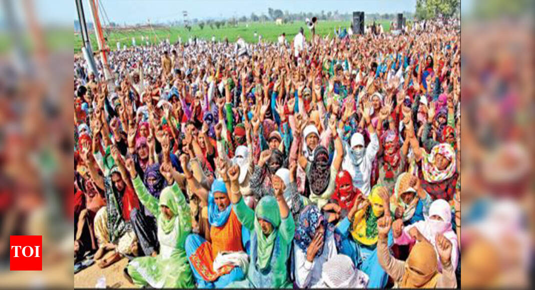 Reservation stir is just the beginning: Jat leader Yashpal Malik | Meerut News - Times of India