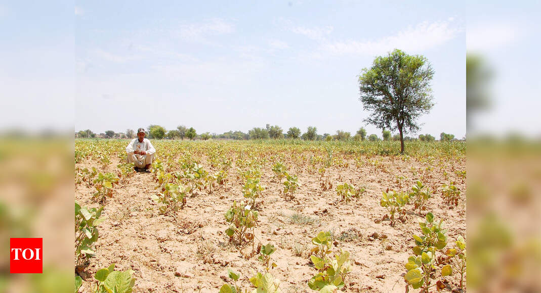 Human Poop As Manure Thumbs up for human poop as manure Chennai News