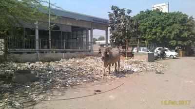 Garbage dump near Sarita Vihar Metro station