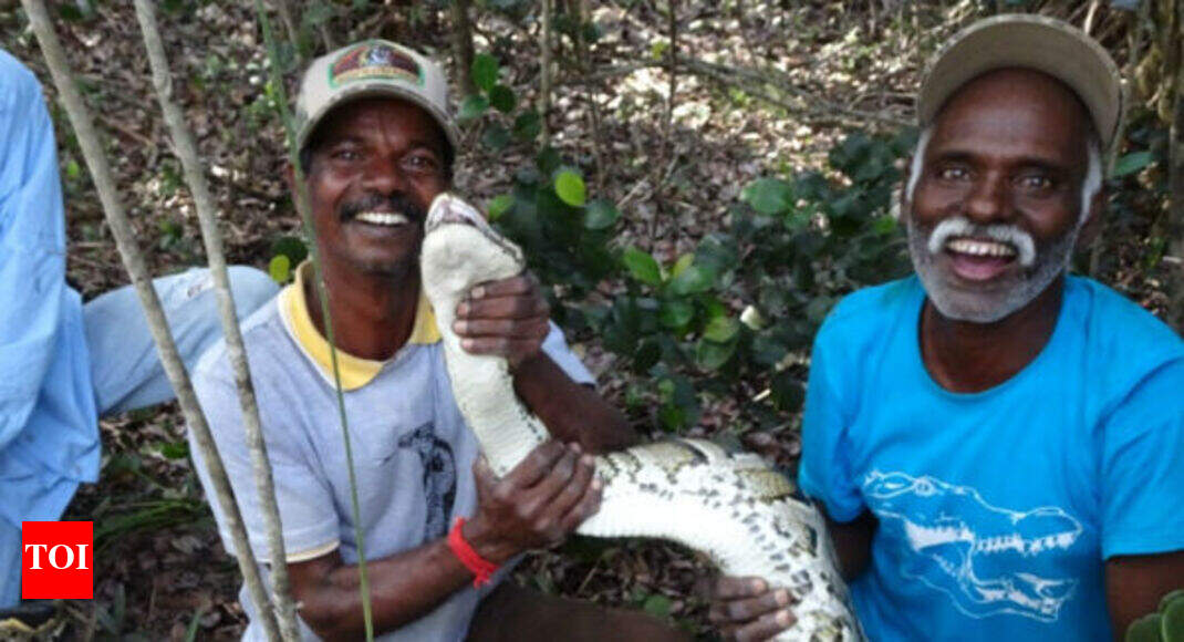 vadivel gopal Irula snake catchers make hisstory in Florida! Chennai