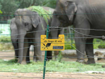 Electric fences kill more humans than animals | Ahmedabad News - Times of  India