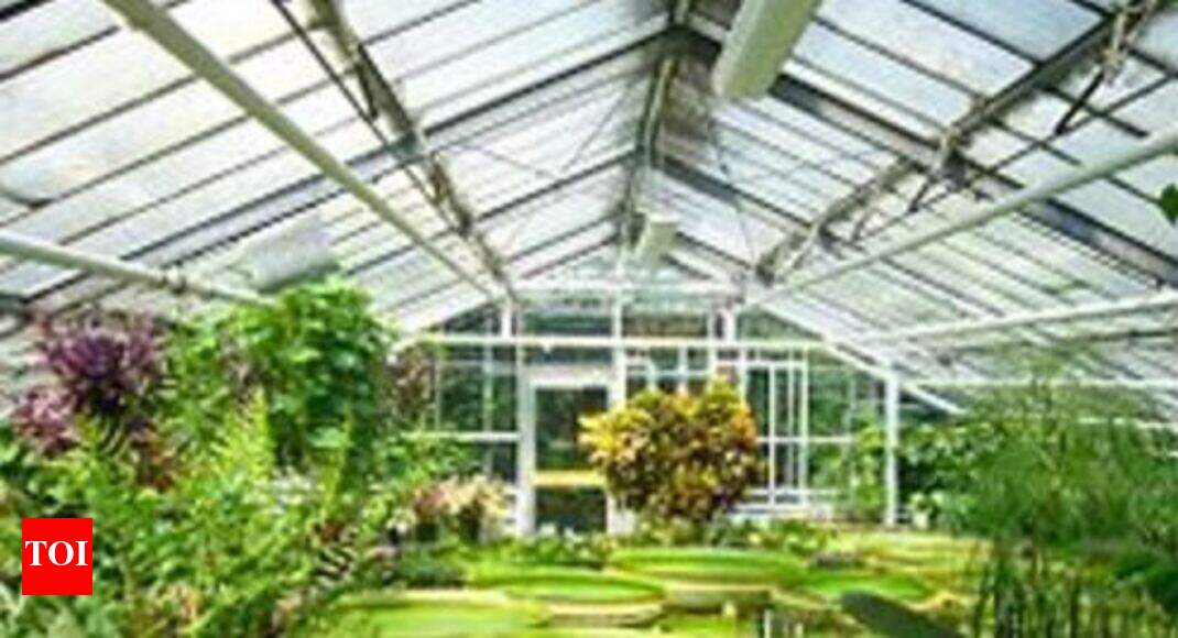 Visakhapatnam gets public botanical garden Visakhapatnam News Times