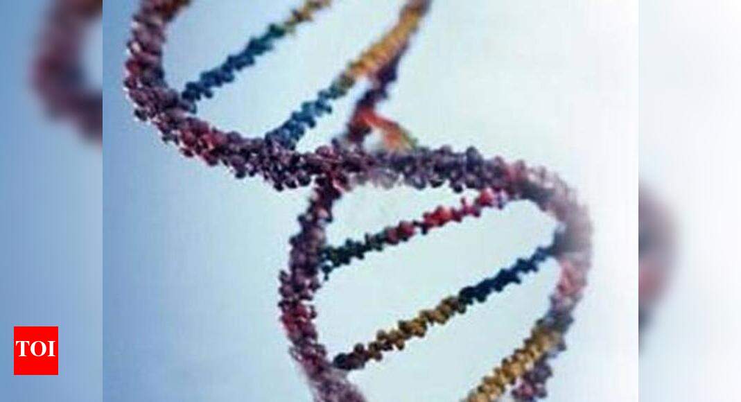 DNA tests take a lifestyle leap - Times of India