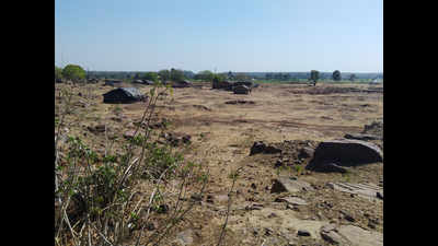 Abattoir to be set up at Adampur Chhawani: Govt