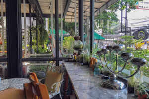 Tree Tales Caf&eacute;