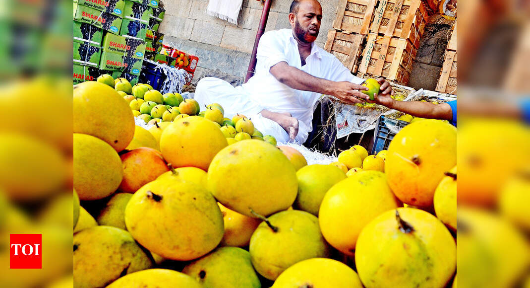 In last 4 years, mango crop halved due to climate change, say farmers ...