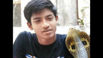 Naigaon teen gets bitten by cobra he rescued, dies