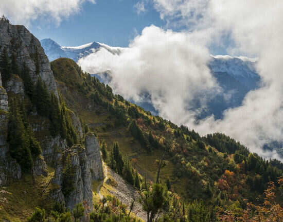 Schynige Platte