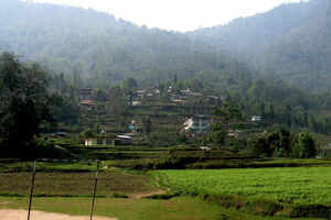 Pelling