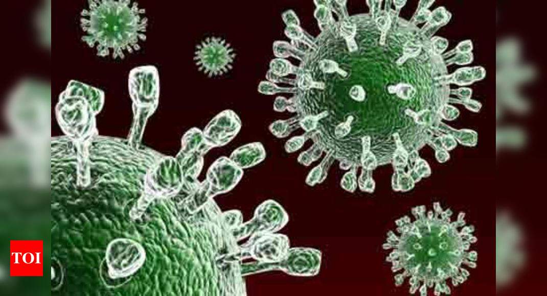 Who Report Superbug: Misuse Of Top Antibiotics Gives Rise To Superbugs ...