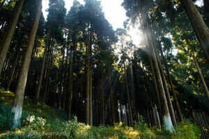 Takdah