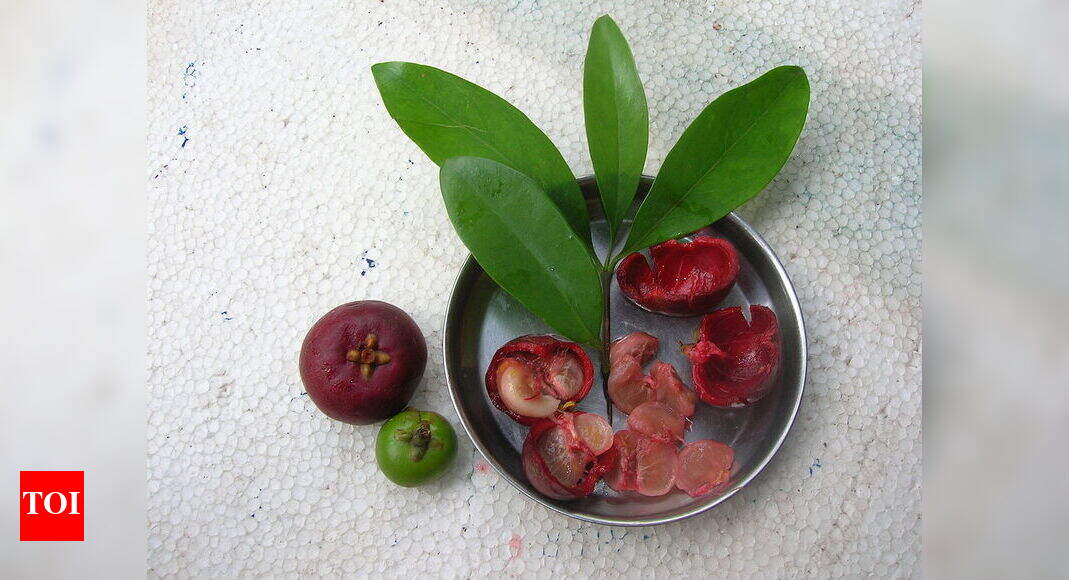 Konkan Fruit Festival Konkan fruit festival to be held in Goa Goa