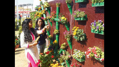 Air cleansing plants steal the show at Noida’s flower fest