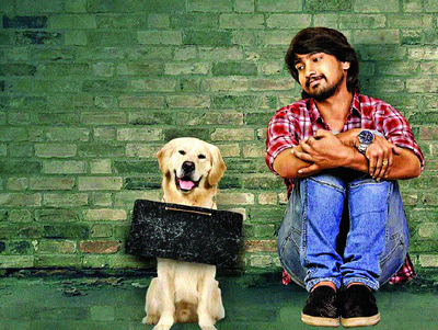 Dog lover raj turns dognapper in kittu...