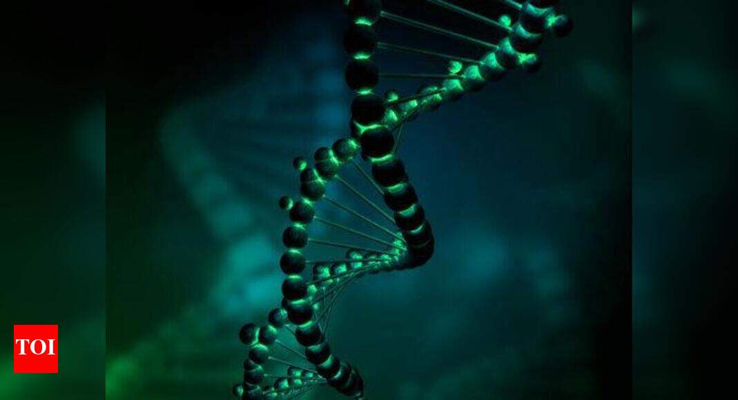 DNA: Soon, a 'magic' DNA computer that grows itself - Times of India