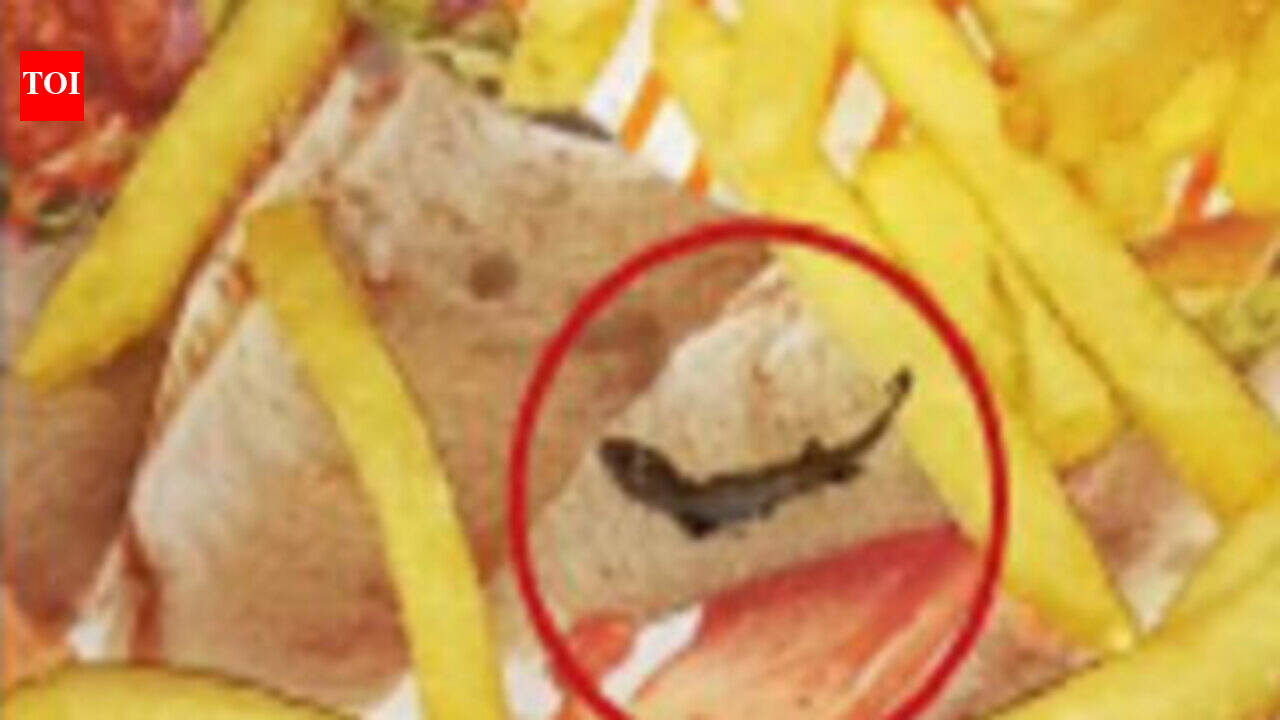 Deep-fried lizard found in McDonald's french fries at Kolkata outlet