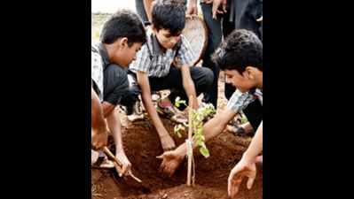 Schools in Maharashtra to plant 45 lakh saplings by 2019
