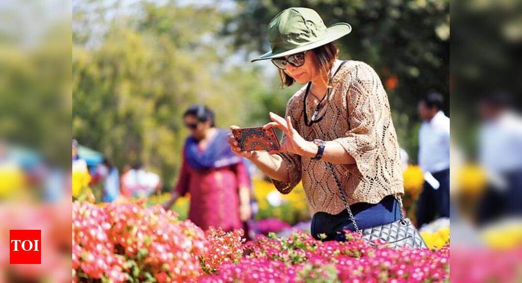 Innovative flower arrangements ruled this flower show in Gurgaon