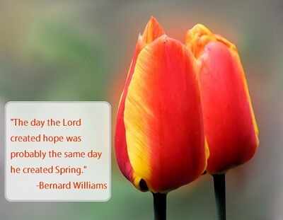 Spring quotes