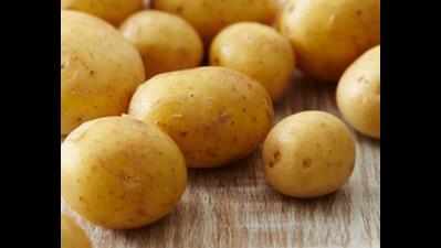 Food giant turns saviour for state potato farmers