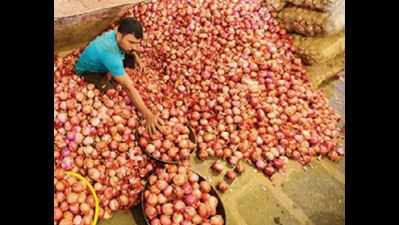 Flood of onions puts farmers in soup