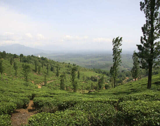 48 hours in Wayanad