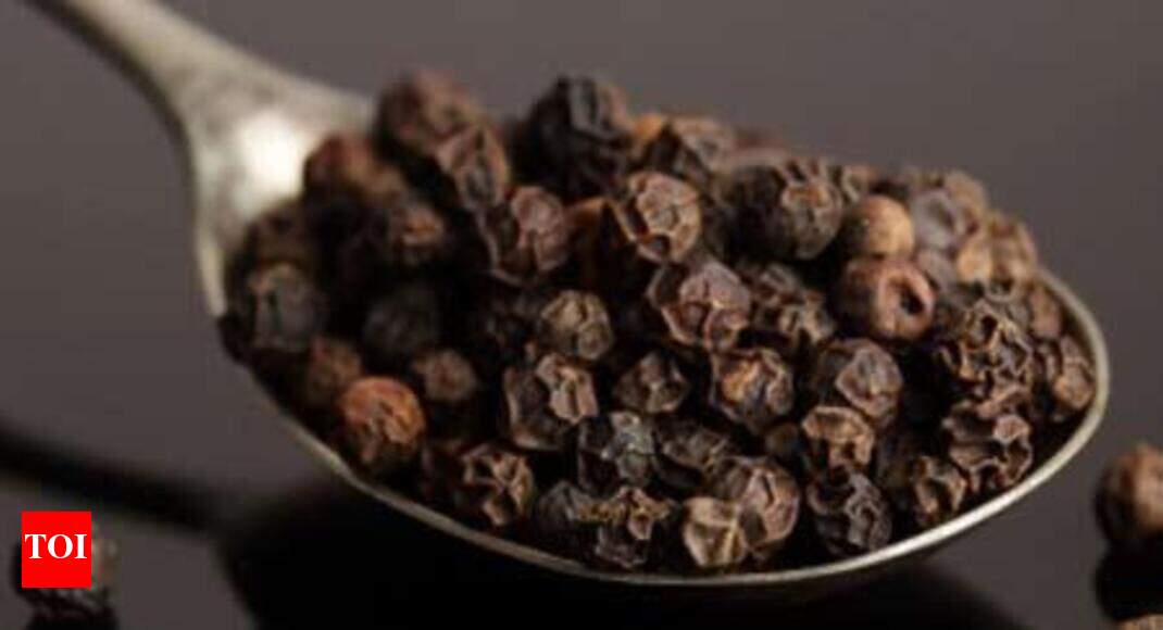 pepper cultivation Pepper production in Goa on the rise again