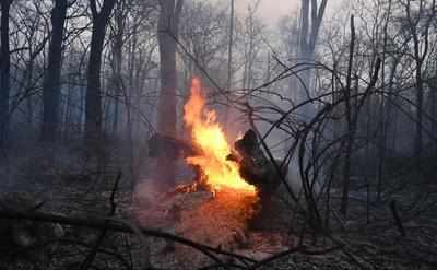 As villagers clash with forest dept, fires rage in tiger reserve