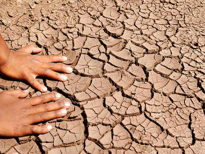 Distribution Of Drought Relief Commences | Coimbatore News - Times Of India