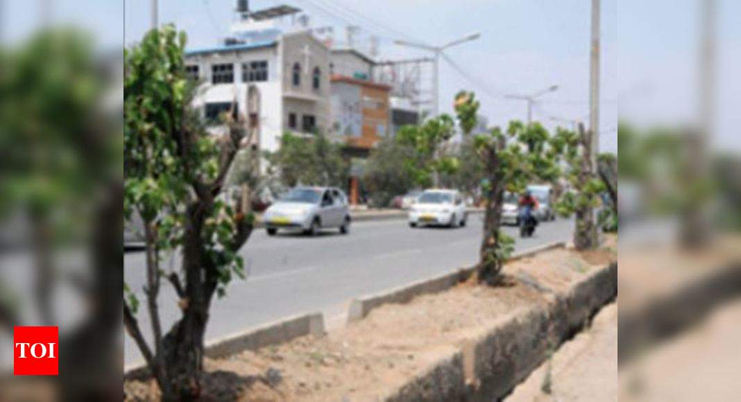 Tree poisoning: BBMP removes 2 hoardings along ORR ...