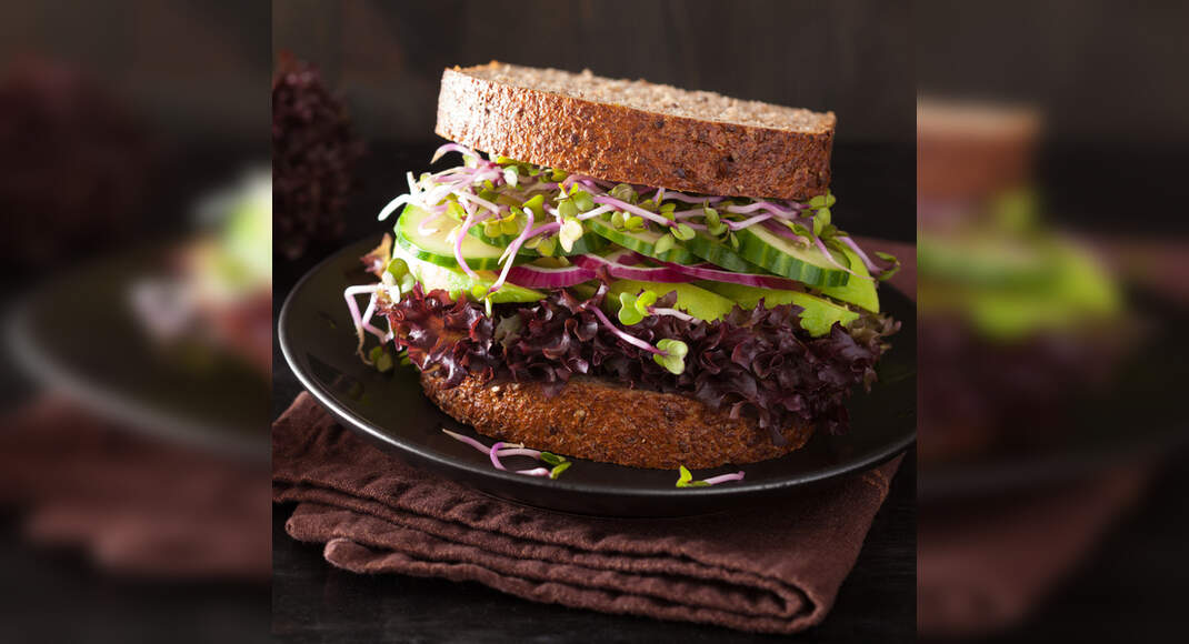 Cucumber Sprout Sandwich Recipe How to Make Cucumber Sprout Sandwich