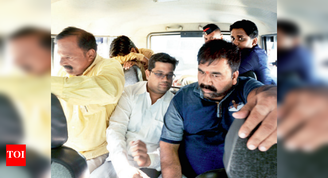 Cracking india pdf picture