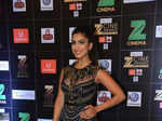 Zee Cine Awards