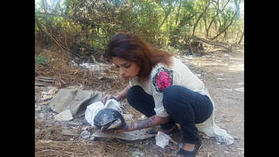 Model rescues turtle dumped in trash in Mumbai