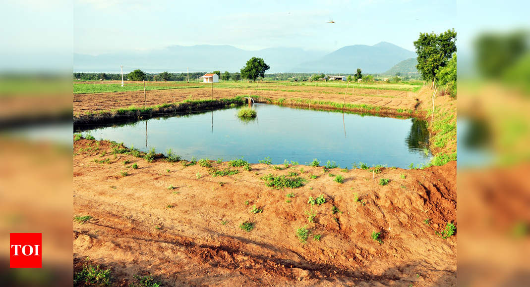 tamil-nadu-budget-2017-water-conservation-is-the-way-forward-for