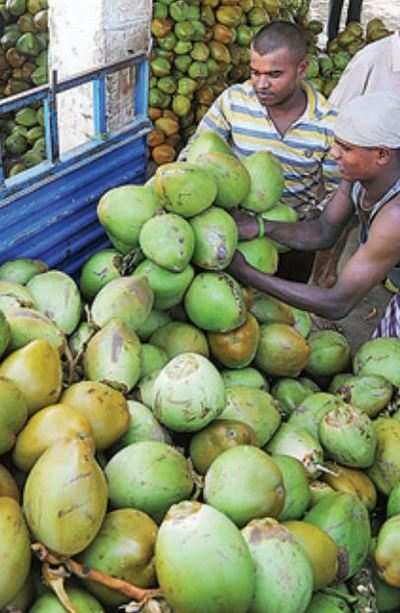 Multiplexes may be asked to sell tender coconuts